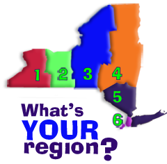 Graphic of the Youth In Progress region of NY